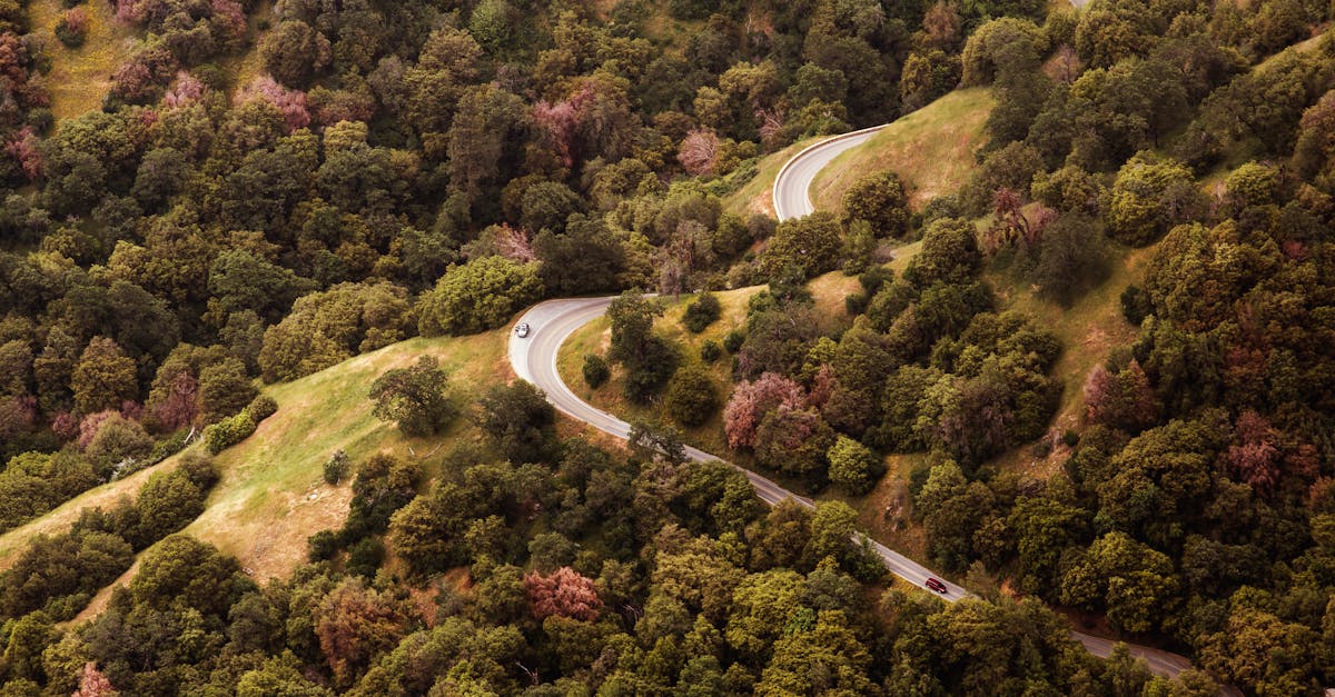 découvrez twity, la plateforme innovante pour partager vos idées, suivre l’actualité et interagir avec une communauté dynamique. rejoignez twity pour rester connecté et informé au quotidien !